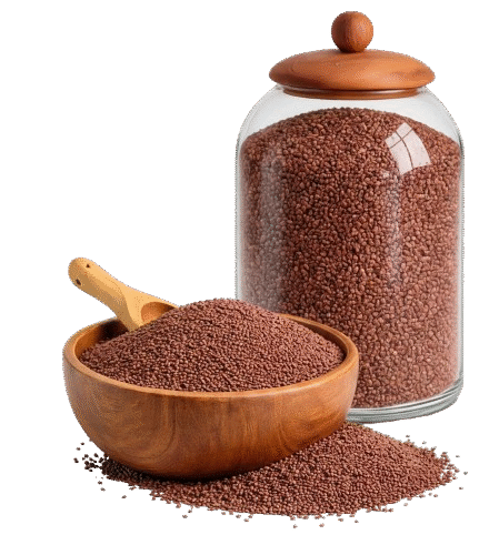 Generated_Image_February_20__2026_-_5_30PM-removebg-preview