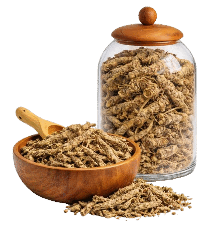 image_-_2026-02-20T173320.306-removebg-preview