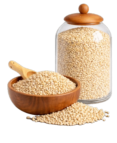 image_-_2026-02-20T173417.133-removebg-preview