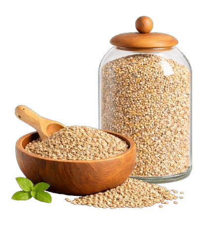 image_-_2026-02-20T173704.741-removebg-preview