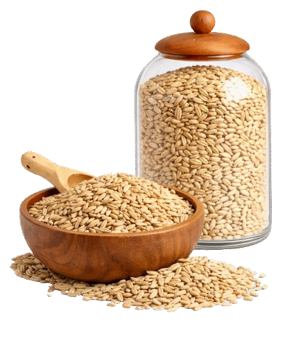 jau-removebg-preview